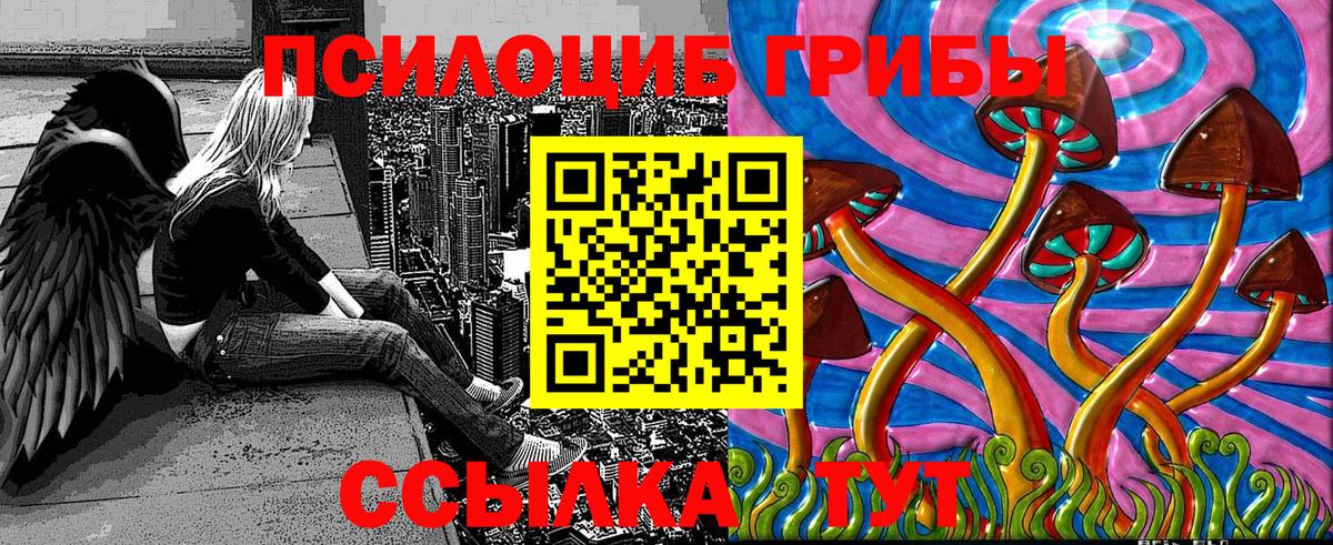 Галлюциногенные грибы Psilocybine cubensis  Псилоцибиновые грибы MAGIC MUSHROOMS  Вход с VPN  Петровск 